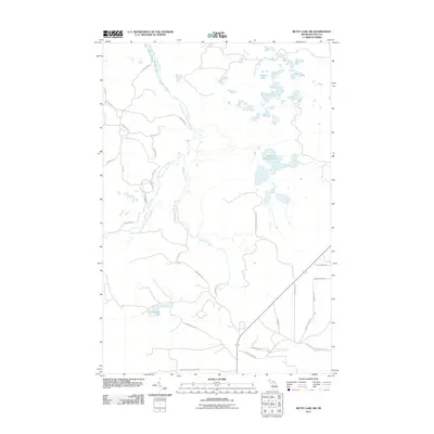2011 Map of Betsy Lake SW, 2011 Print