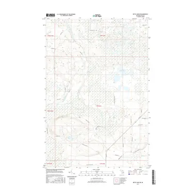 2017 Map of Betsy Lake SW, 2017 Print