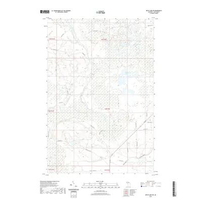 2019 Map of Betsy Lake SW, 2019 Print