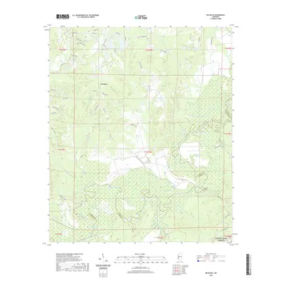 2020 Map of Big Black, 2020 Print
