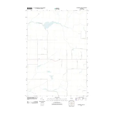 2010 Map of Big Briens Lake, 2010 Print