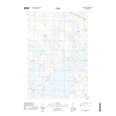 2019 Map of Big Cormorant Lake, 2019 Print