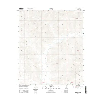 2016 Map of Big Delta B-3 SE, 2016 Print