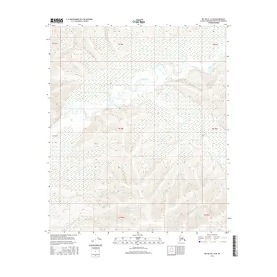 2016 Map of Big Delta C-5 SE, 2016 Print