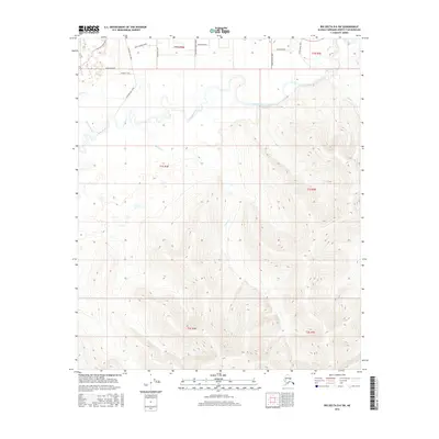 2016 Map of Big Delta D-6 SW, 2016 Print