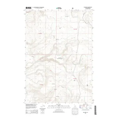 2013 Map of Big Grassy, 2013 Print