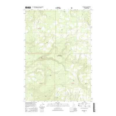 2017 Map of Big Grassy, 2017 Print