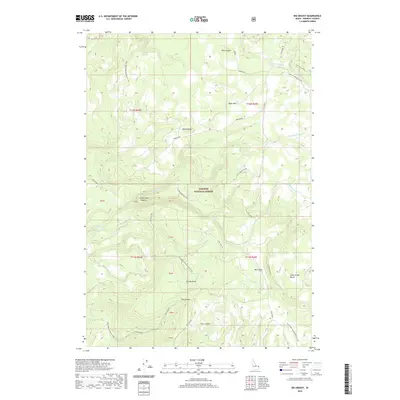 2020 Map of Big Grassy, 2020 Print