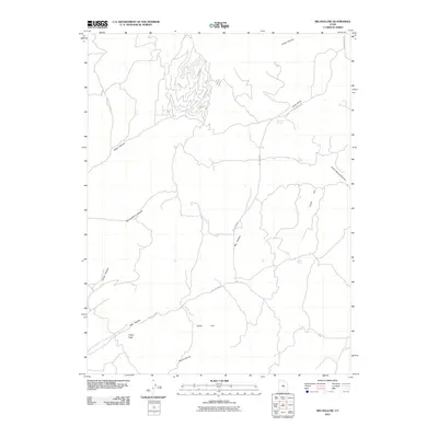 2011 Map of Big Hollow, 2011 Print
