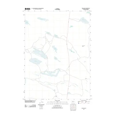 2011 Map of Big Lake, 2011 Print