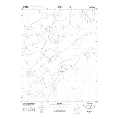 2011 Map of Big Lake, 2011 Print