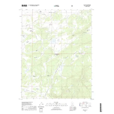 2020 Map of Big Lake, 2020 Print