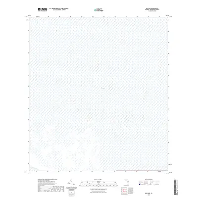 2021 Map of Big Lake, 2021 Print