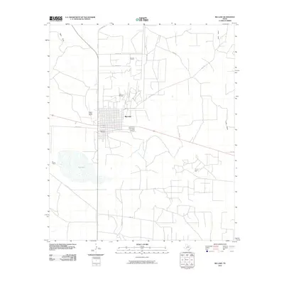 2010 Map of Big Lake, 2010 Print