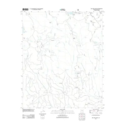 2011 Map of Big Lake South, 2011 Print