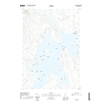 2021 Map of Big Lake, 2021 Print