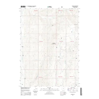 2015 Map of Big Park, 2015 Print