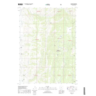2017 Map of Big Park, 2017 Print