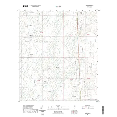 2020 Map of Big Point, 2020 Print