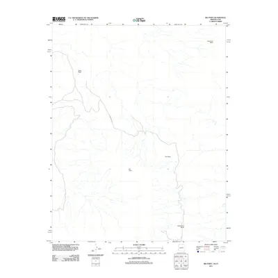 2011 Map of Big Point, 2011 Print