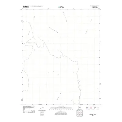2011 Map of Big Point, 2011 Print