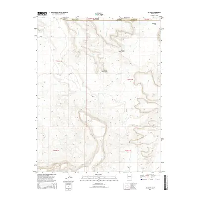 2014 Map of Big Point, 2014 Print