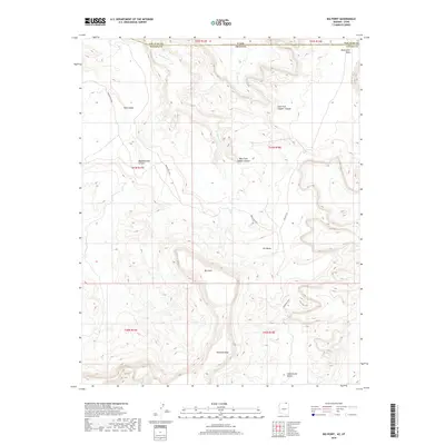 2018 Map of Big Point, 2018 Print