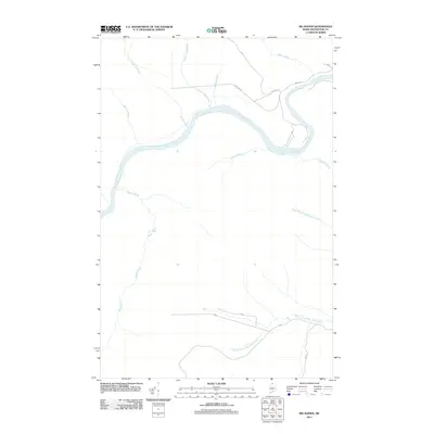2011 Map of Big Rapids, 2011 Print