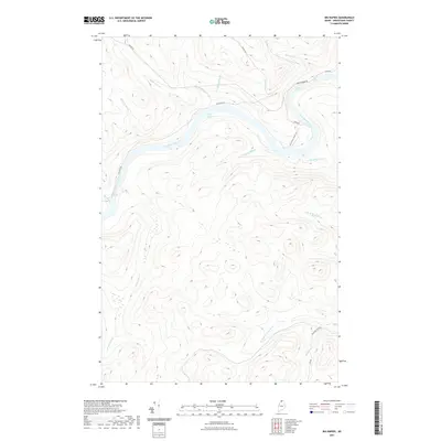 2021 Map of Big Rapids, 2021 Print