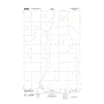 2011 Map of Big Ravine Creek, 2011 Print