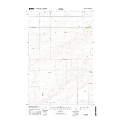 2017 Map of Big Spring, 2017 Print
