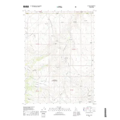 2020 Map of Big Table, 2020 Print