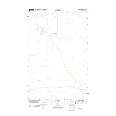 2011 Map of Bigby Lake, 2011 Print