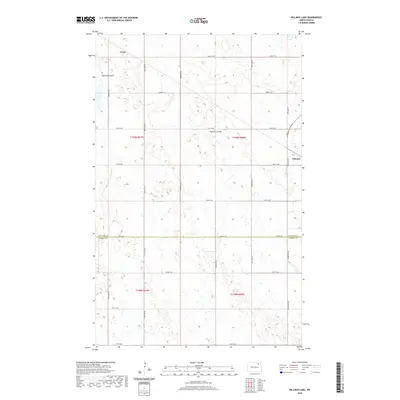 2020 Map of Billings Lake, 2020 Print