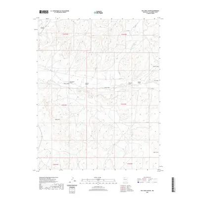 2020 Map of Billy Rice Canyon, 2020 Print
