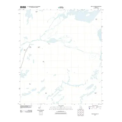 2011 Map of Billys Island, 2011 Print