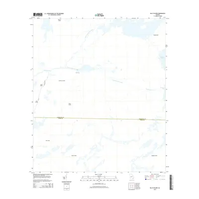 2014 Map of Billys Island, 2014 Print