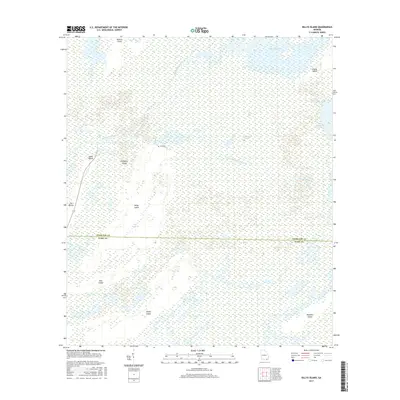 2017 Map of Billys Island, 2017 Print