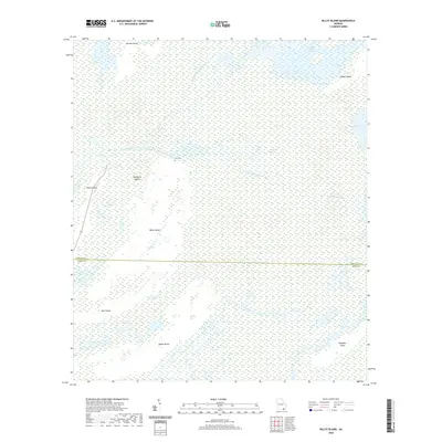 2020 Map of Billys Island, 2020 Print