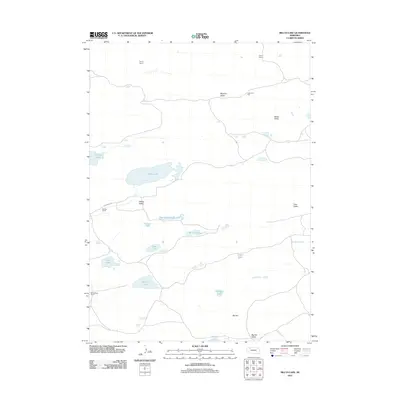 2011 Map of Billys Lake, 2011 Print