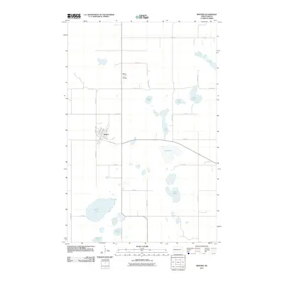 2011 Map of Binford, 2011 Print