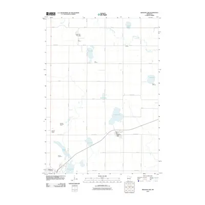 2010 Map of Bingham Lake, 2010 Print