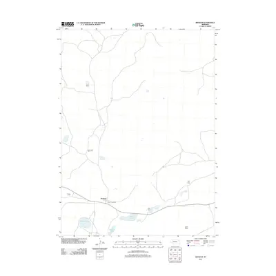 2011 Map of Bingham, 2011 Print
