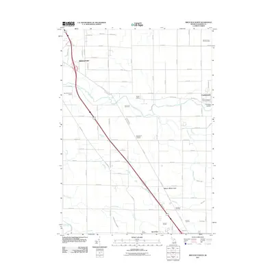 2011 Map of Birch Run North, 2011 Print