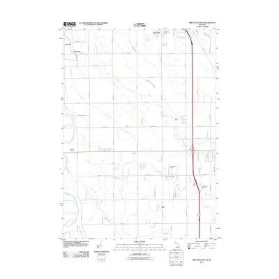 2011 Map of Birch Run South, 2011 Print