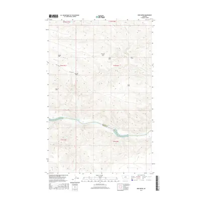 2017 Map of Bird Rapids, 2017 Print