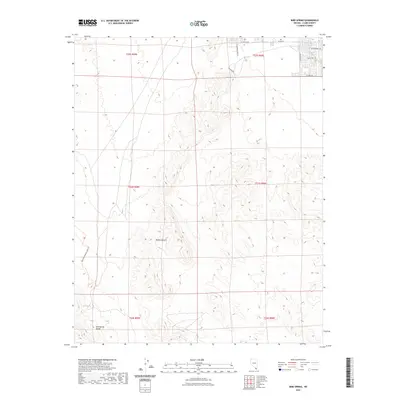2021 Map of Bird Spring, 2021 Print