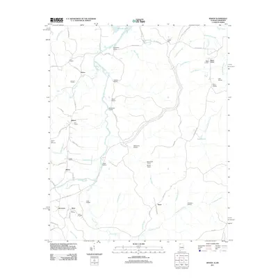 2011 Map of Bishop, 2011 Print