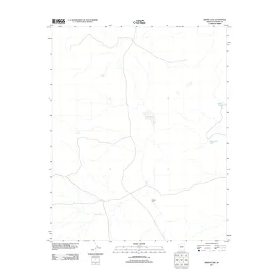 2011 Map of Bishop Lake, 2011 Print