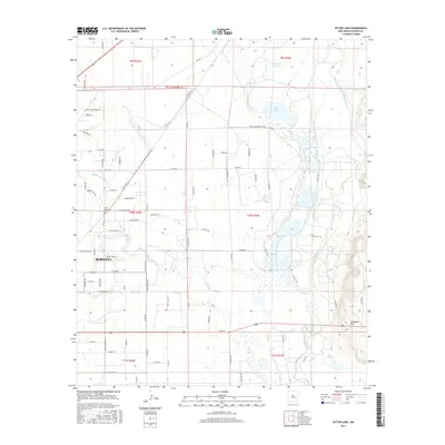 2017 Map of Bitter Lake, 2017 Print